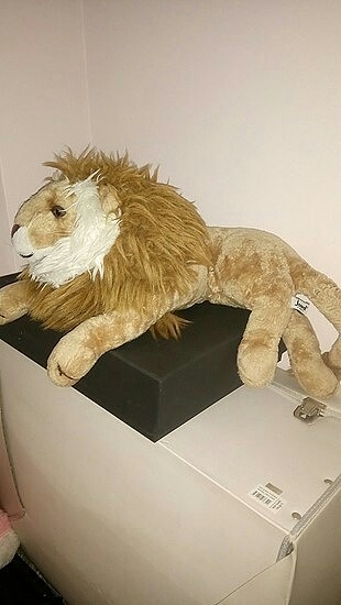 aslan büyük