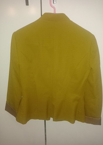 Yağ Yeşili tonlarında Düğmeli Kadın Blazer Ceket - Görsel 4