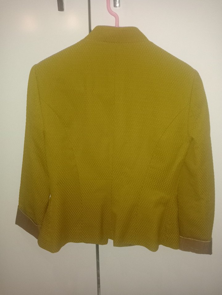 Yağ Yeşili tonlarında Düğmeli Kadın Blazer Ceket - Görsel 4