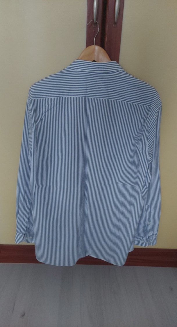 U.S. POLO Marka Mavi Çizgili Pamuklu Erkek Gömlek - Görsel 3