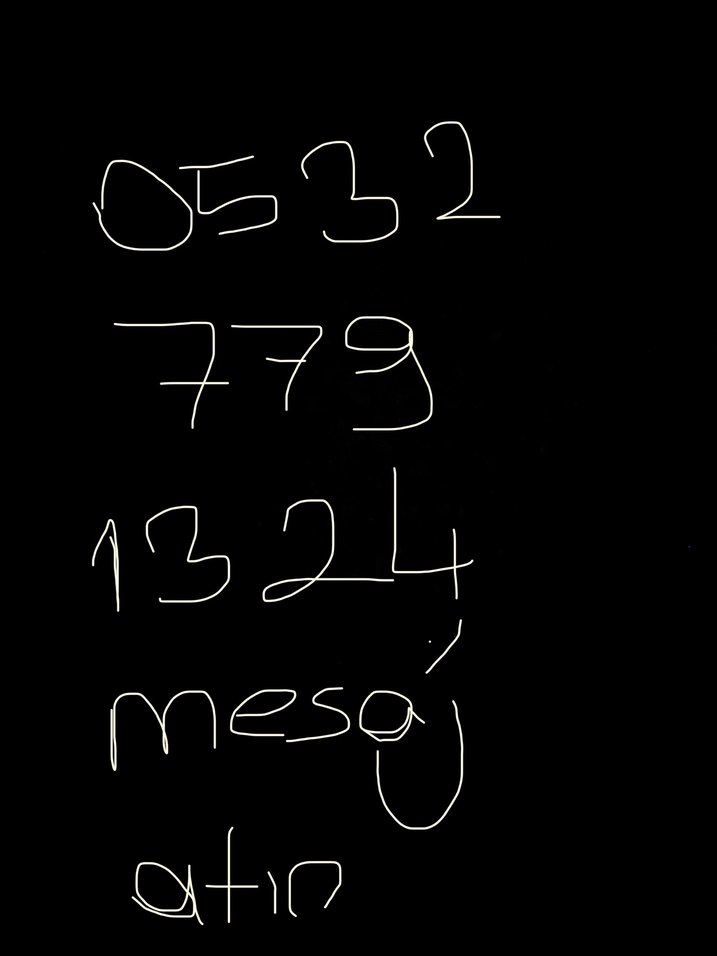 Uzun Kırmızı Tesettür Kına Elbisesi - Görsel 5