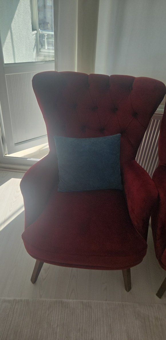 Bej ve Bordo koltuk takimi - Görsel 4