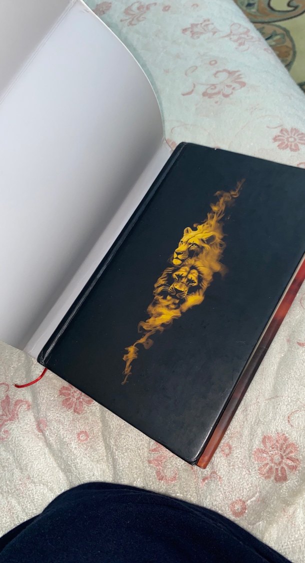 Doksan Artı Dört II - + Doksan Artı Dört 1 Açıklamaya bakın - Görsel 3