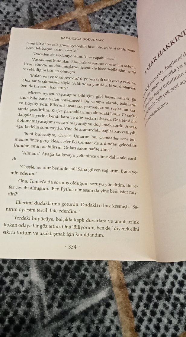 Karen Chance - Karanlığa Dokunmak ve Gölgeleri - Görsel 2