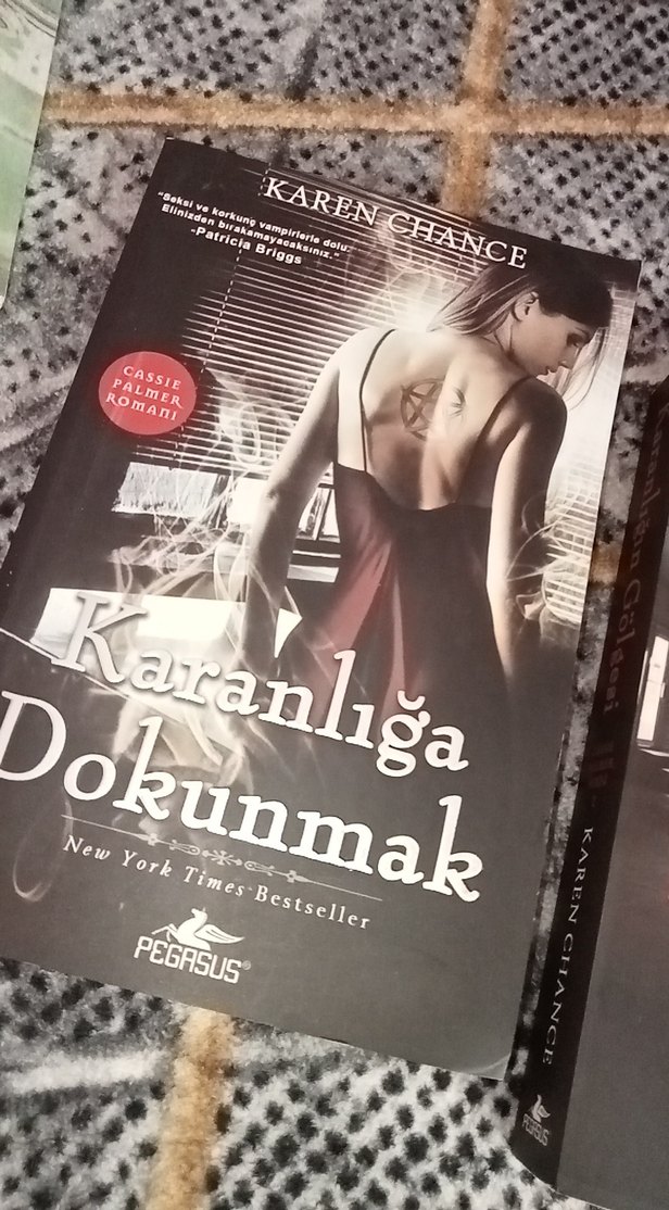 Karen Chance - Karanlığa Dokunmak ve Gölgeleri - Görsel 5