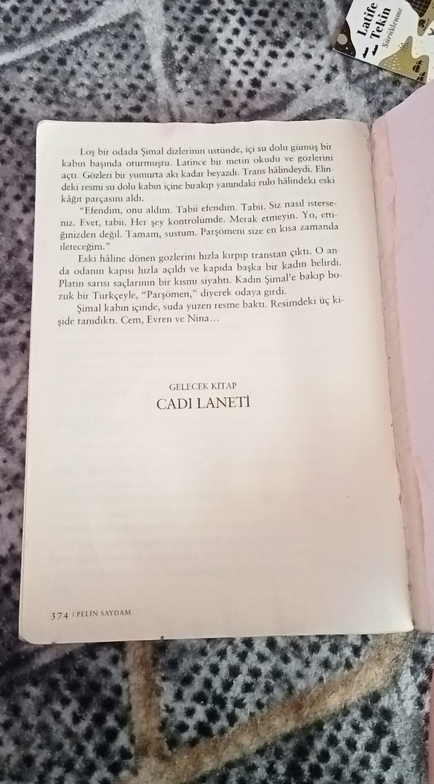 Kurtadam Gölgesi - Pelin Saydam - Görsel 2