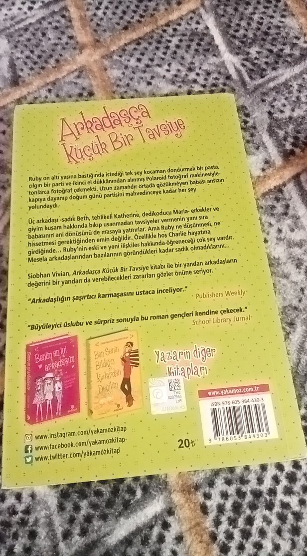 Arkadaşça Küçük Bir Tavsiye - Siobhan Vivian - Görsel 2