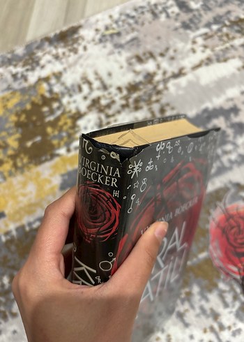 Virginia Boecker 3'lü Kitap Seti - Görsel 5