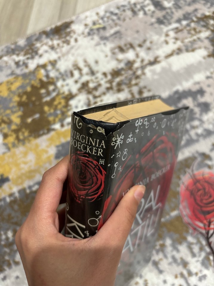 Virginia Boecker 3'lü Kitap Seti - Görsel 5