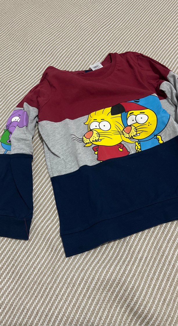 Erkek Çocuk Renkli Pamuklu Sweatshirt - Görsel 2