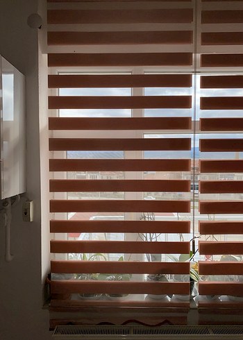 Bej Çizgili Pudra Zebra Perde - Görsel 2