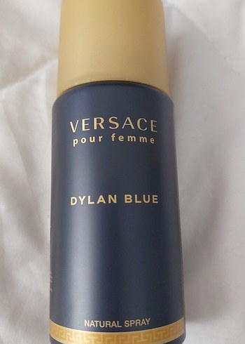 Versace Dylan Blue Erkek Parfümü - Görsel 2