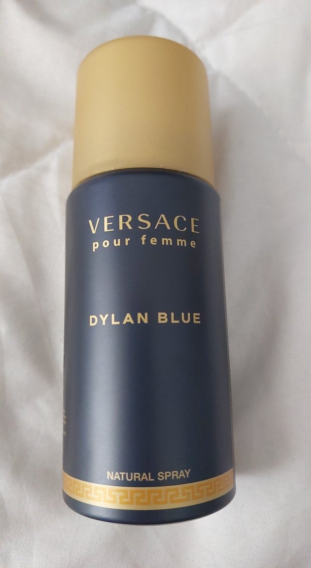 Versace Dylan Blue Erkek Parfümü - Görsel 2