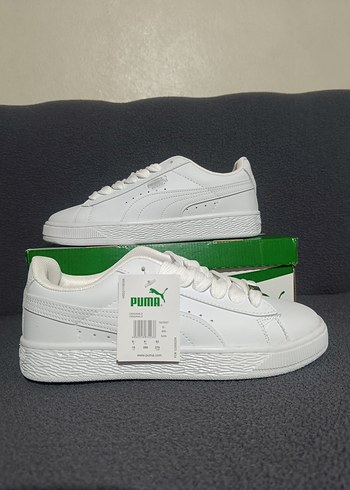 Puma tek ebat