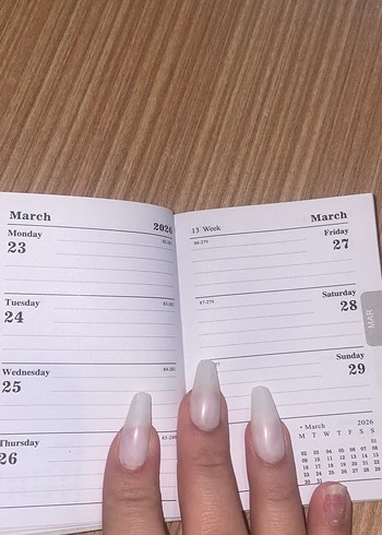 2026 Planlayıcı - Carrot King Tasarımlı - Görsel 4