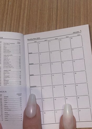 2026 Planlayıcı - Carrot King Tasarımlı - Görsel 3