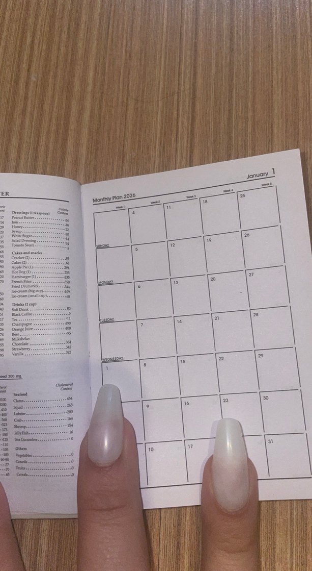 2026 Planlayıcı - Carrot King Tasarımlı - Görsel 3