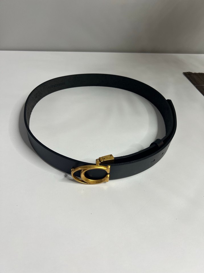 Coach kemer - Görsel 4