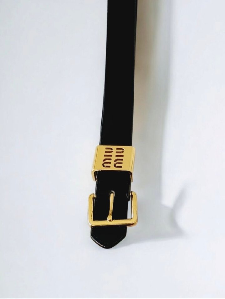 Miu miu kemer - Görsel 2