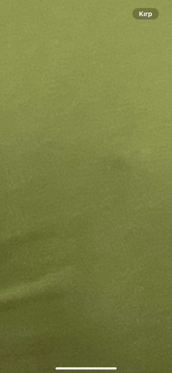 Yeşil Kısa Kollu Pamuklu Tişört - Görsel 4