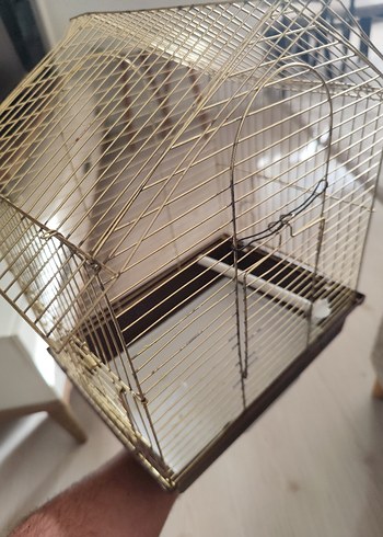 Parlak Altın Renkli Kuş Kafesi - Görsel 11