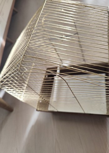 Parlak Altın Renkli Kuş Kafesi - Görsel 7