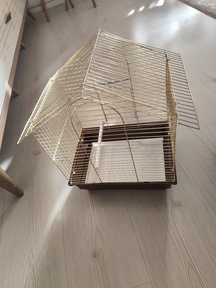 Parlak Altın Renkli Kuş Kafesi - Görsel 5