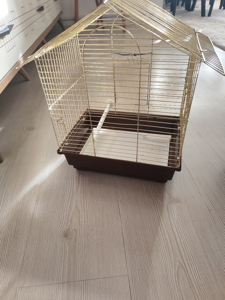 Parlak Altın Renkli Kuş Kafesi - Görsel 4