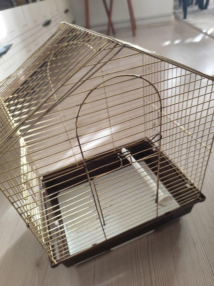 Parlak Altın Renkli Kuş Kafesi - Görsel 2