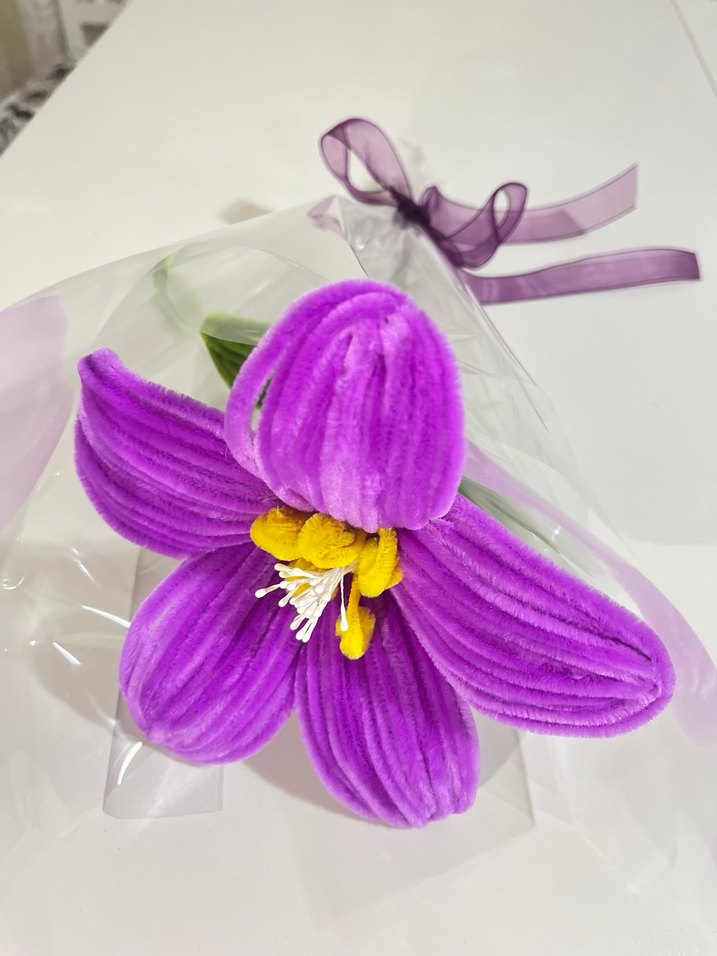 Mor Çiçek - Görsel 3