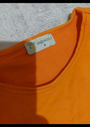 doga koleji - Görsel 2