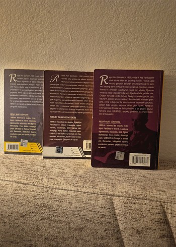 Reşat Nuri Güntekin Bütün Romanları Seti - Görsel 2