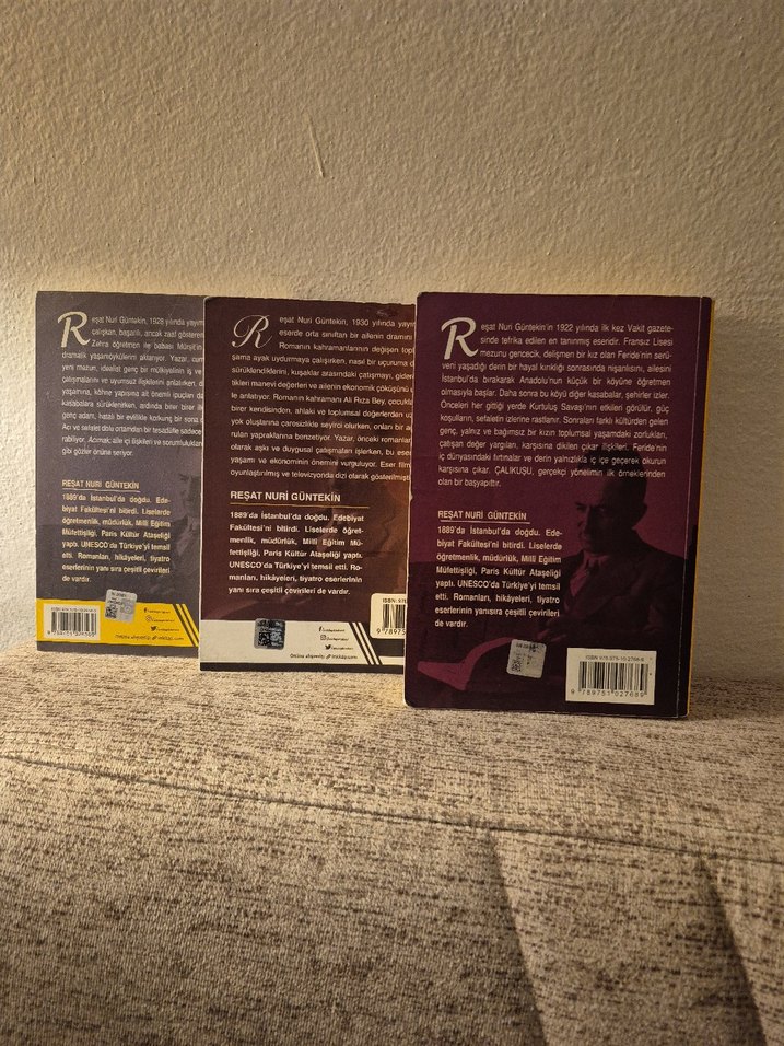 Reşat Nuri Güntekin Bütün Romanları Seti - Görsel 2