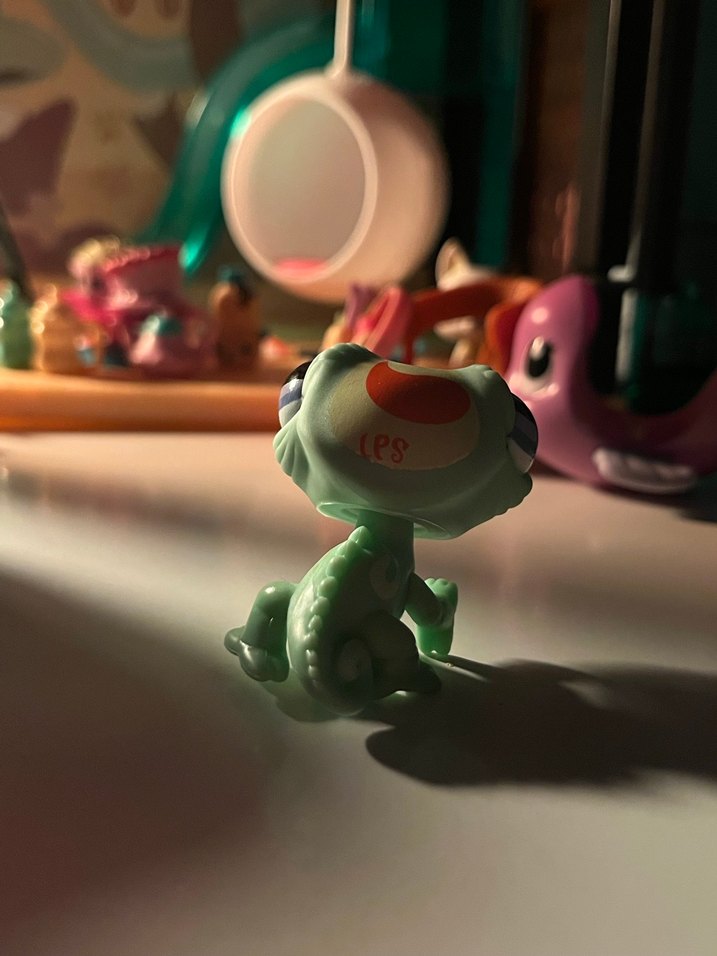 Lps bukalemun miniş - Görsel 2