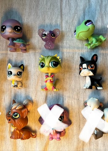 Lps minişler - Görsel 2