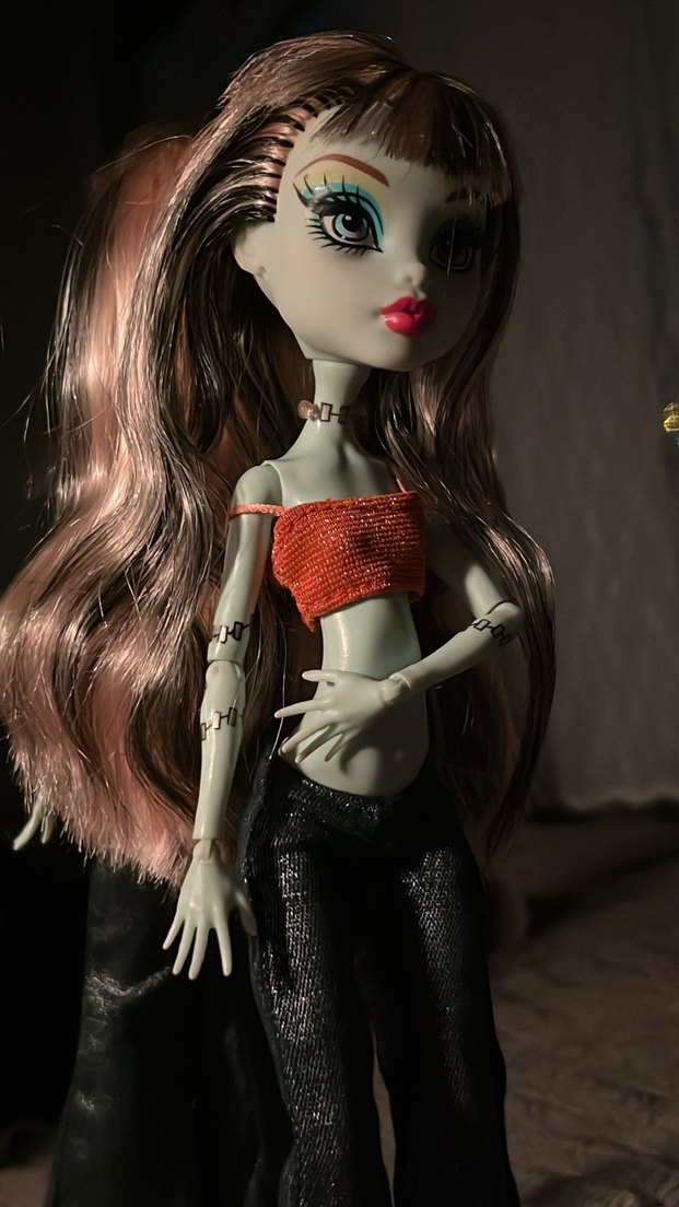 Monster High Frankie - Görsel 2