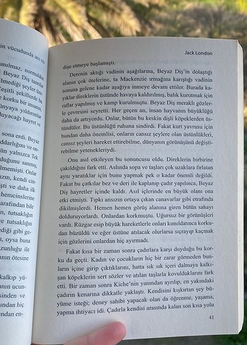 Beyaz Diş - Jack London - Görsel 3