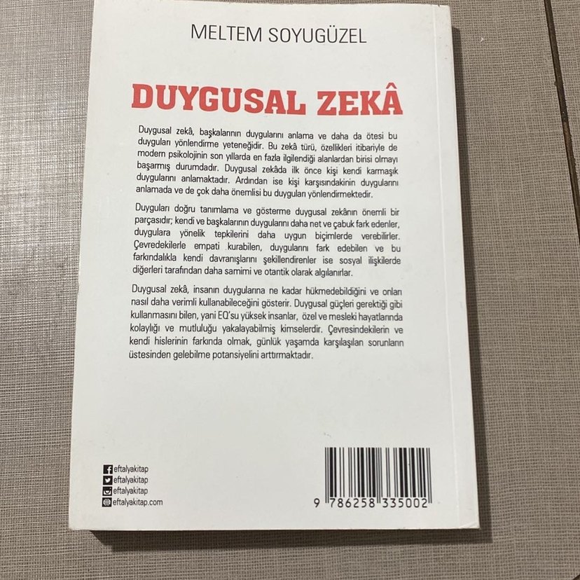 Duygusal Zeka - Meltem Soyugüzel - Görsel 4