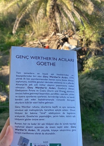 Genç Werther'in Acıları - Goethe - Görsel 3