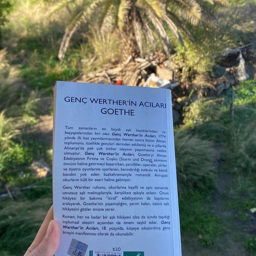 Genç Werther'in Acıları - Goethe - Görsel 3