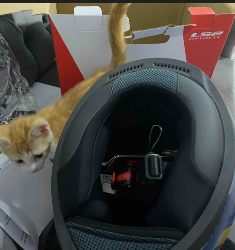 Mor Baskılı Biker Motosiklet Kaskı - Görsel 5