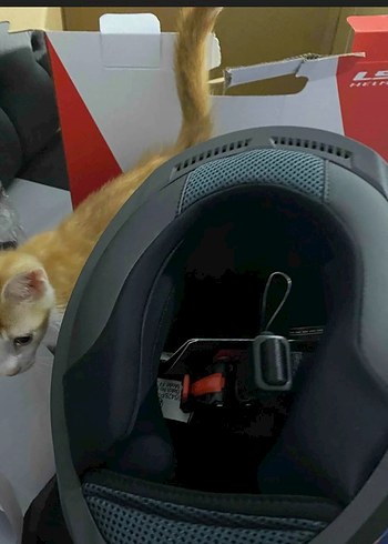 Mor Baskılı Biker Motosiklet Kaskı Velcro - Görsel 5