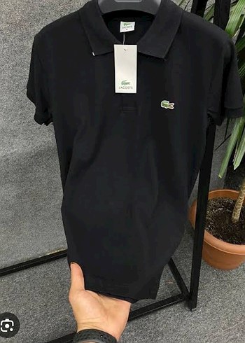 Lacoste xxl