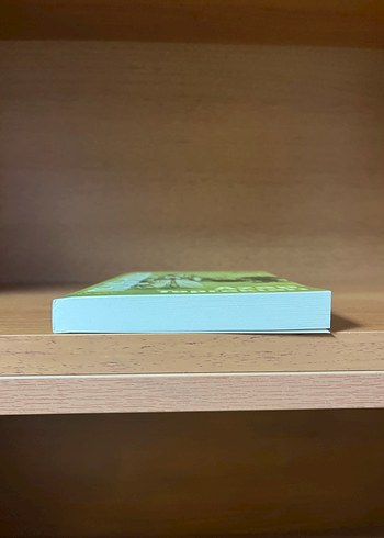 Emine Işınsu - Azap Toprakları - Görsel 4