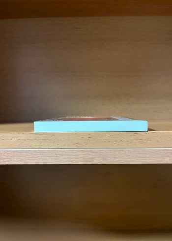 Havva - Emine Işınsu Romanı - Görsel 6