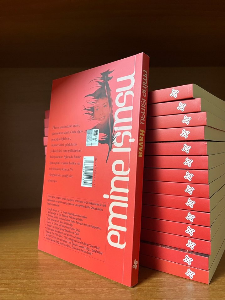 Havva - Emine Işınsu Romanı - Görsel 2