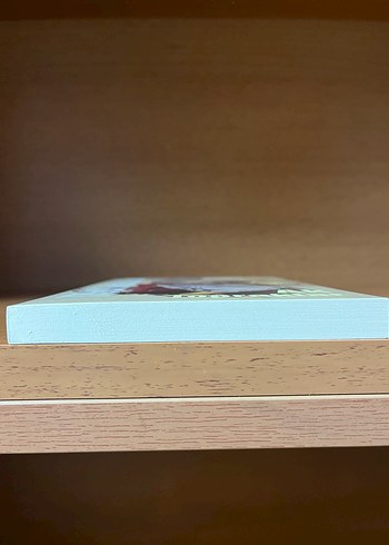 Ak Topraklar - Emine Işinsu - Görsel 4