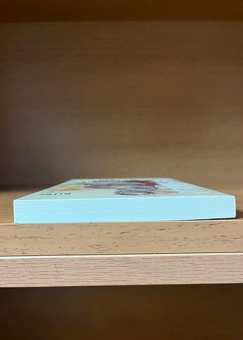 Ak Topraklar - Emine Işinsu - Görsel 6