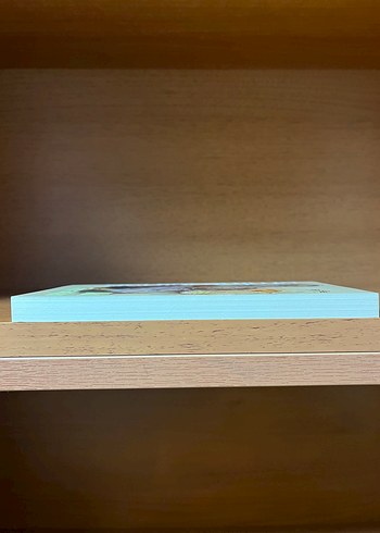 Ak Topraklar - Emine Işinsu - Görsel 5