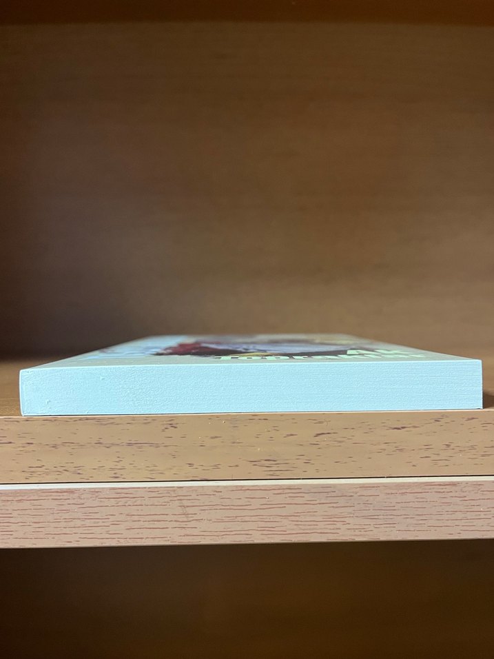 Ak Topraklar - Emine Işinsu - Görsel 4